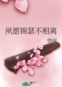 夙愿锦瑟不相离