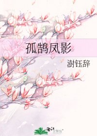 孤鹄凤影